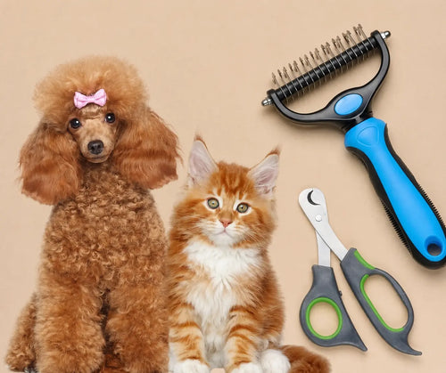 Grooming