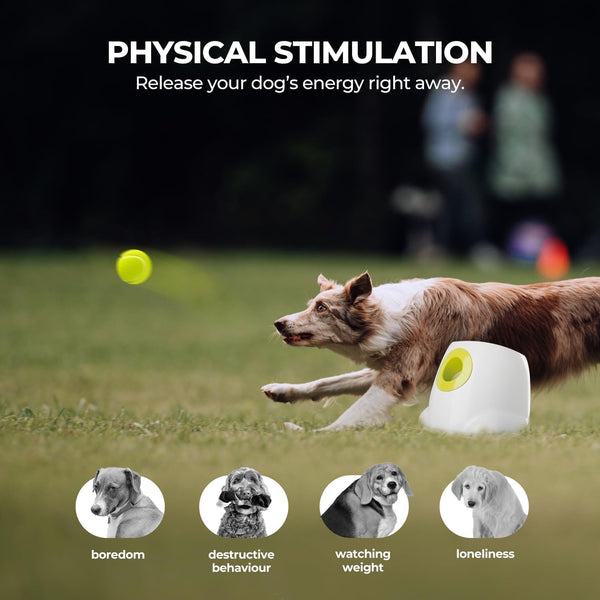 Automatic Dog Ball Launcher — Indoor & Outdoor Fetch Machine