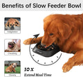Slow Feed Dog Bowl | Interactive Puzzle Feeder Anti-Gulp LUSHYLIFE