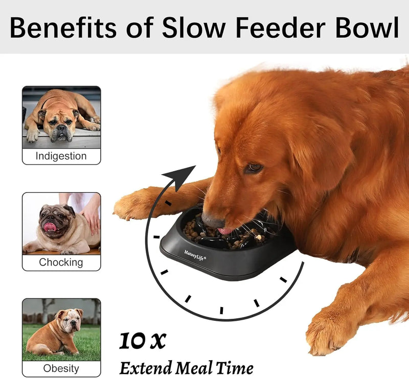 Slow Feed Dog Bowl | Interactive Puzzle Feeder Anti-Gulp