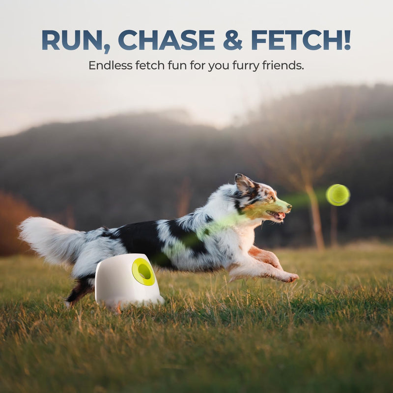 Automatic Dog Ball Launcher — Indoor & Outdoor Fetch Machine