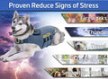 Calming Anxiety Wrap for Dogs — Thunder Shirt Vest LUSHYLIFE