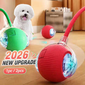 Smart automatic rolling dog ball toy for interactive indoor play