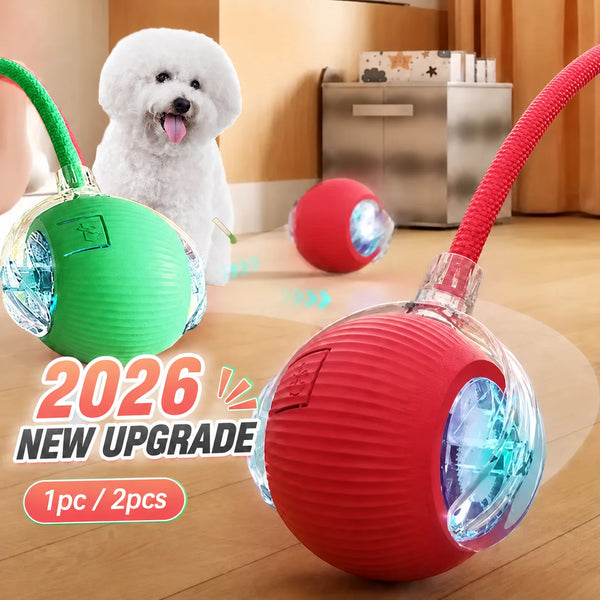 Smart Automatic Rolling Dog Ball Toy | Interactive